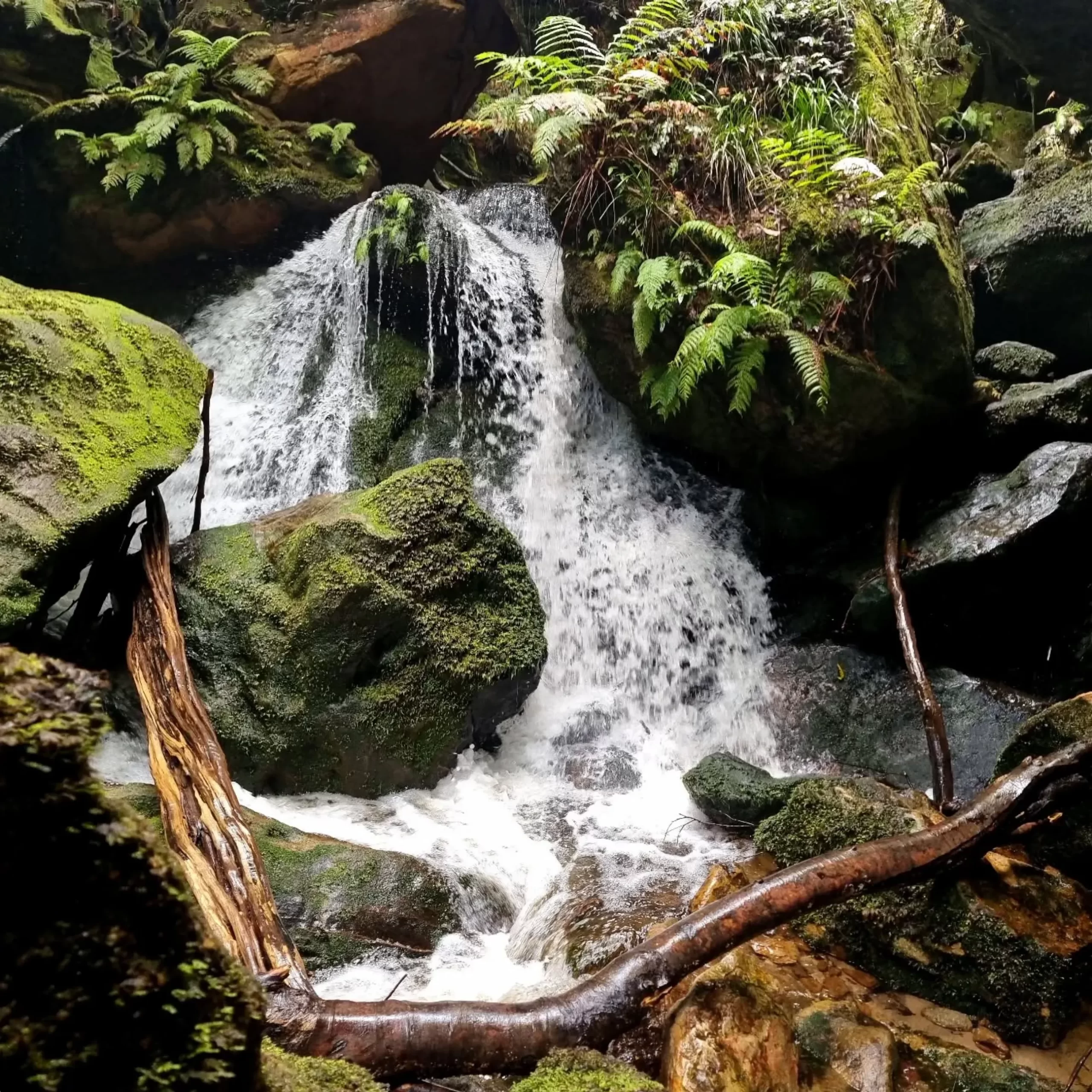 Blue Mountains Waterfalls