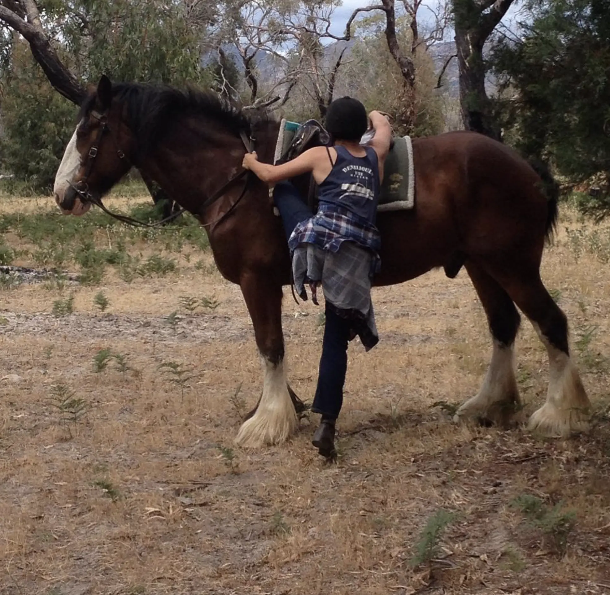 Grampians Horse Riding