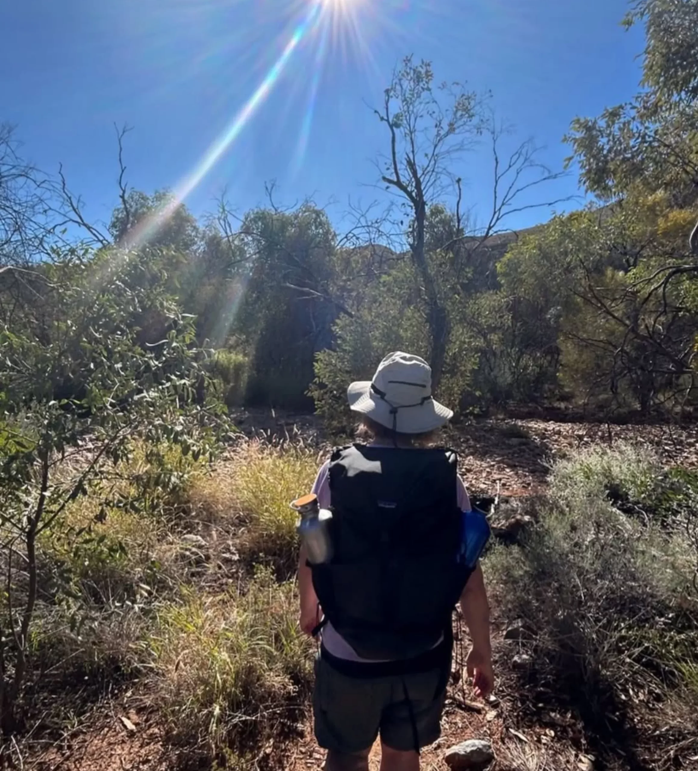 Larapinta Trail