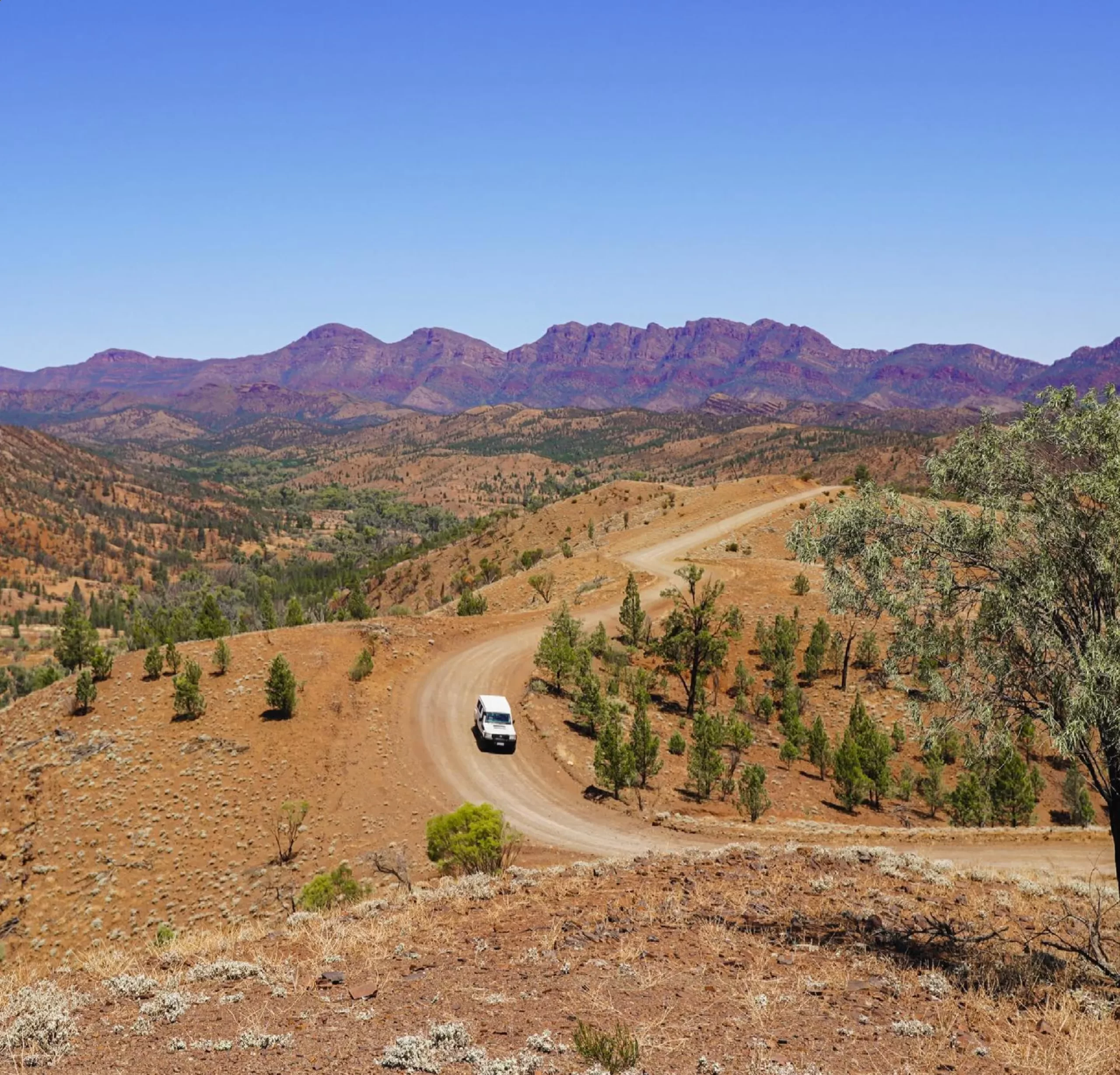 Larapinta trail tours