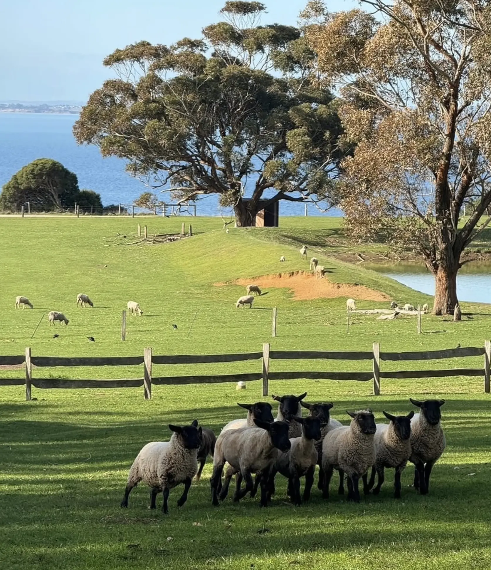 Phillip Island Nature Parks