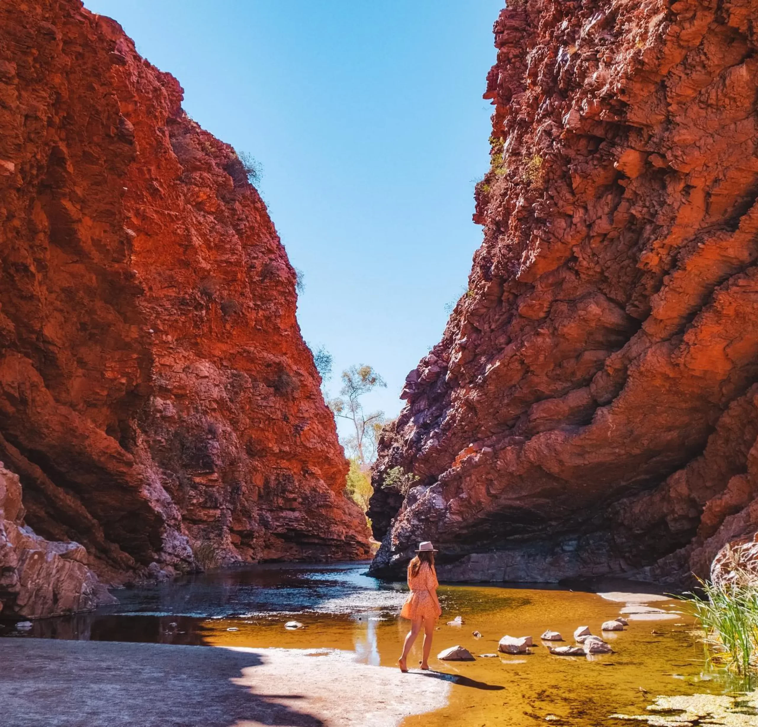 Simpsons Gap, Larapinta