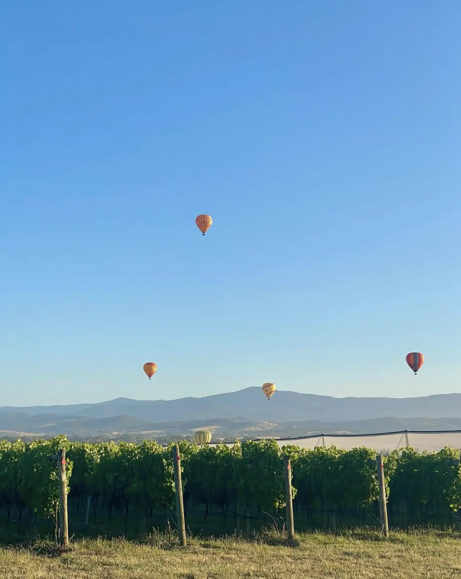 Yarra Valley