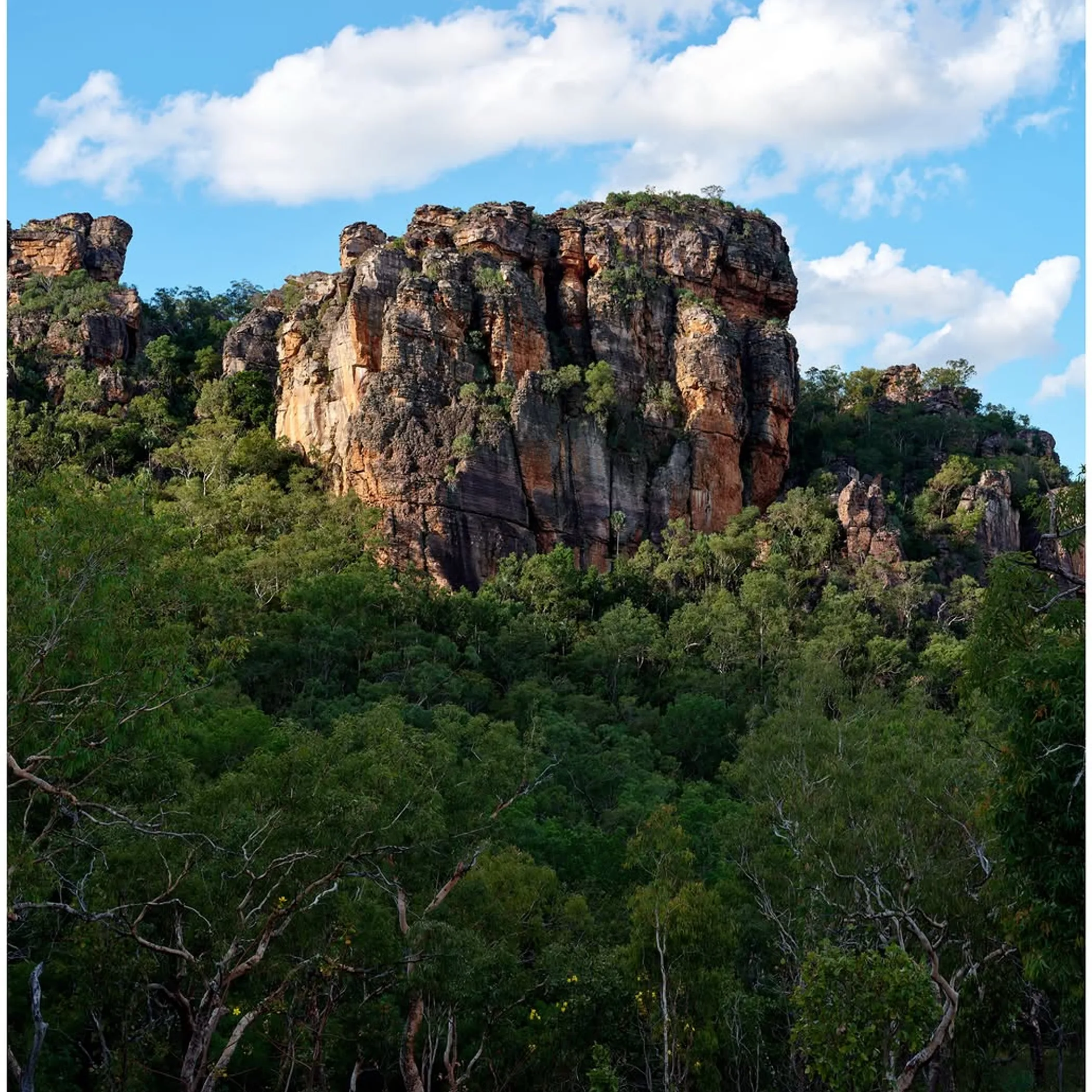 kakadu rock formations and vegetation